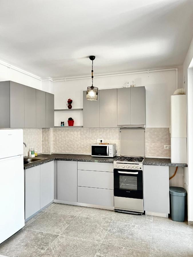 Apartment Mara 2 Тімішоара Екстер'єр фото