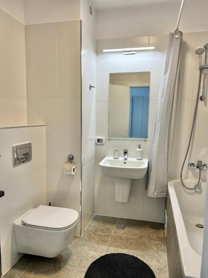 Apartment Mara 2 Тімішоара Екстер'єр фото