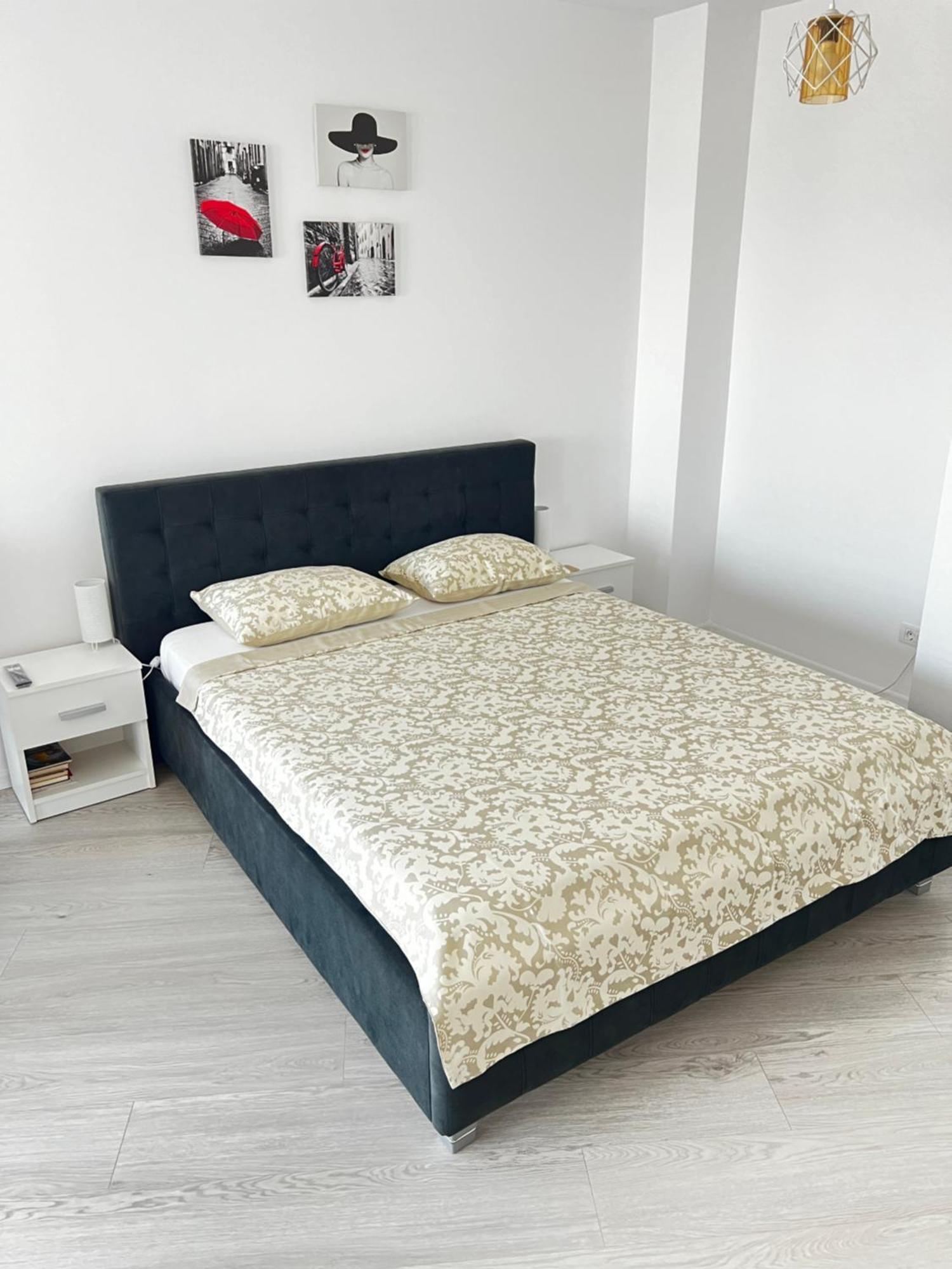 Apartment Mara 2 Тімішоара Екстер'єр фото